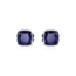 Swarovski 5660803 Kadın Küpe