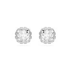 Swarovski 5661957 Kadın Küpe