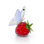 Swarovski 5666846 Idyllia Butterfly And Strawberry Ev Dekorasyonu