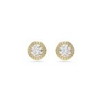 Swarovski 5686637 Kadın Küpe