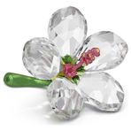 Swarovski 5690534 Florere Hibiscus S Biblo