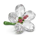 Swarovski 5690534 Florere Hibiscus S Biblo
