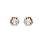 Swarovski 5692258 Dextera Pe Stud Cry-Ros Küpe