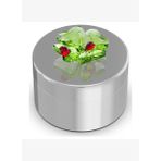 Swarovski 5692961 Idyllia Decor Box Clover And Ladybug Ev Dekorasyonu