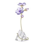 Swarovski 5693143 Florere Rozanne Biblo