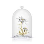 Swarovski 5701376 Florere Bell Jar 130 Th Anniversary Ev Dekorasyonu