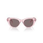 Swarovski Kadın Sk6025 Yuvarlak Güneş Gözlüğü, Şeffaf Pembe/Açık Mor Kahverengi, 47 mm