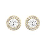 Swarovski SWR5505470 Kadın Küpe