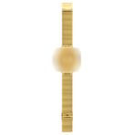 Swatch SYXG100GG Orj Bant