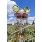 Sweet Mickey Mouse Kulaklı Matara - Altın