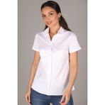 SWEETNESS Kadın Beyaz Kısa Kollu Likralı Pamuklu Klasik Gömlek - 3XL