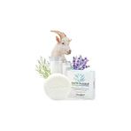 Swelle Keçi Sütü Sabunu 110GR Shea Butter Çay Ağacı Lavanta Yüz Maskesi 1 Adet Doğal Katı Sabun Vüc