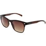 Swing SS225 C216 Kadın Güneş Gözlüğü