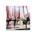 SWISS Profesyonel Fly Yoga Full Set Salon Ve Ev Tipi