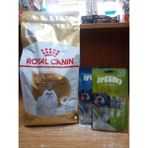 SY Royal Canin Maltese Adult Yetişkin Köpek Kuru Maması 1.5 Kg+2 Paket ( 8 Adet) Köpek Ödül Krema - 1 ADET