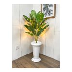 SY Vista Yapay Starliçe 1.1 Metre - Yapay Çiçek - Ledli - Salon Bitkisi - Yapay Muz