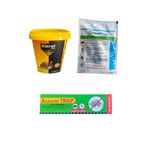 SYGANTE Klerat Pelet Yem 80GR/Klerat Pasta 10x10 Adet 100GR/Asworld Fare Yapışkanı