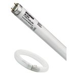 Sylvania daha fazla-Paket: 50 ST floresan lamba T8 15 W BL368 438 mm KERBL 299811 gibi Siyah ışık