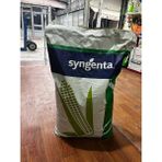 Syngenta Sy Inove Sılajlık Mısır Tohumu 50.000 Adet - 50000 Adet