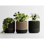 Synora Dekoratif Saksı - Bej Delikli Modern Bitki Saksısı 15 cm - 150x150x150mm