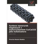 Synteza nanorurek węglowych z wykorzystaniem Co/CaCO3 jako katalizatora
