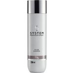 System Professional Dia Silver 250 ml Şampuan