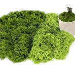 Sztqqing 160 g yapay yosun, dekorasyon için, yapay yosun, dekorasyon, el işi için yapay yosun, duvar beşiği, akvaryum, yosun, beşik, model yapımı, koyu yeşil 80 g + açık yeşil, 80 g