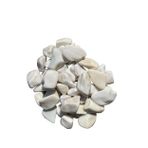 T-may 15 kg 2-4 cm Beyaz Dolomit Taşı