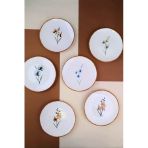 Tabak Evi Porselen Azelya Karma Pasta Tabağı Seti 19,50CM 6 Kişilik 6 Parça