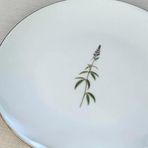 Tabak Evi Porselen Natura Salkım Altın Yaldız Servis Tabağı 24,50Cm Tekli