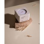 Tabart%100 Soya Wax Organik Beton Mum & Saksı - Vanilla