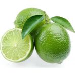Taber 5 Yaş Aşılı Dikensiz Mexican Lime Limon Fidanı, Torbada
