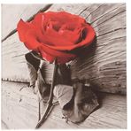 Tablo Center DRPRC7070 3 Parçalı 30x30 cm Kanvas Tablo