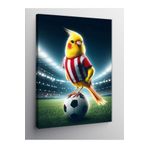 Tablo Mega Kanvas Tablo Futbol Kuşu 50 X 70 Cnvsdkey-122955-50-70