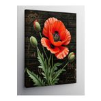 Tablo Mega Kanvas Tablo Gelincik Çiçeği 50 X 70 Cnvsdkey-122777-50-70
