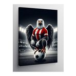 Tablo Mega Kanvas Tablo Kartal Futbolcu 70 X 100 Cnvsdkey-122584-70-100