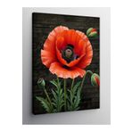 Tablo Mega Kanvas Tablo Kırmızı Gelincik Çiçeği 50 X 70 Cnvsdkey-124249-50-70