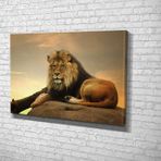 Tablo360 Aslan Kanvas Tablo 70X105