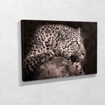 Tablo360 Leopar Kanvas Tablo 80X120