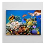Tablolife Renkli Balıklar 60x90 cm Kanvas Tablo