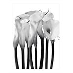 Tablomega Beyaz Çiçekler Dekoratif Ahşap Tablo 25cmx 35cm