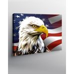 Tablomega Kanvas Tablo Amerikan Kartalı