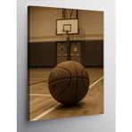 Tablomega Kanvas Tablo Basketbol Sahası Ve Top