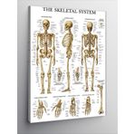 Tablomega Kanvas Tablo İskelet Sistemi