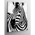 Tablomega Kanvas Tablo Siyah Beyaz Zebra