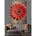 Tablomega Kırmızı Gerbera Çiçek Resmi Dekoratif Kanvas - Mdf Ahşap Tablo
