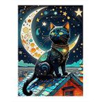 Tablomega Siyah Kedi Ve Gökyüzü Dekoratif Ahşap Tablo 35cm X50cm