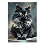 Tablomega Siyah Uzun Tüylü Kedi Hediyelik Ahşap Tablo 25cmx 35cm