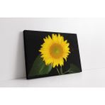 Tablosan Ayçiçeği Kanvas Tablo 30 X 40 Cm Ka03406