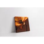 Tablosan Çiçek Kanvas Tablo 30 X 30 Cm Ka03520